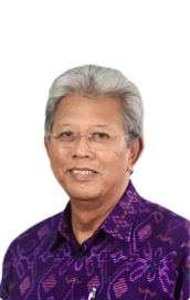 Dr. (HC) Ir. Wahjudi Wardojo, M.Sc.